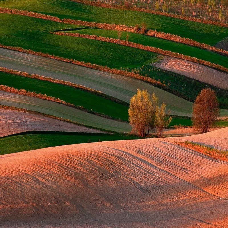 Landscapes_11 фото превью