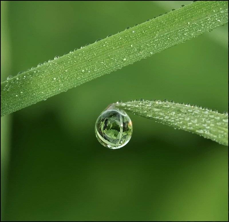 , Андрей Осокин