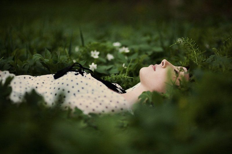 [***] фото превью