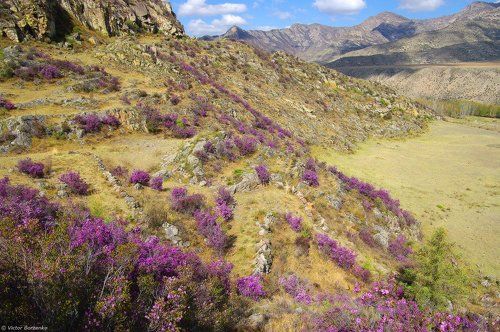 Айры-Таш. Серпантины времени.