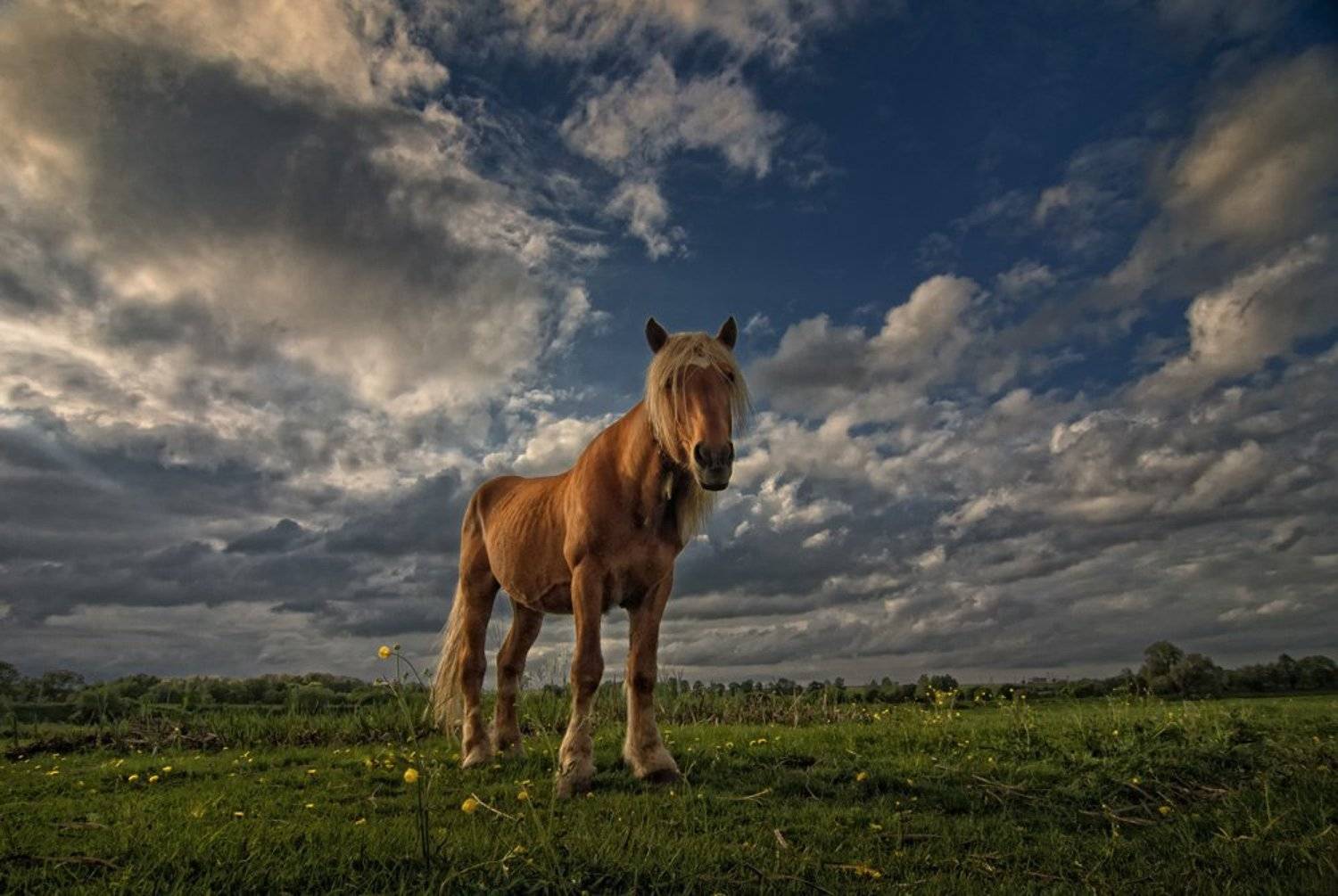 блондин, Александр Титаренко