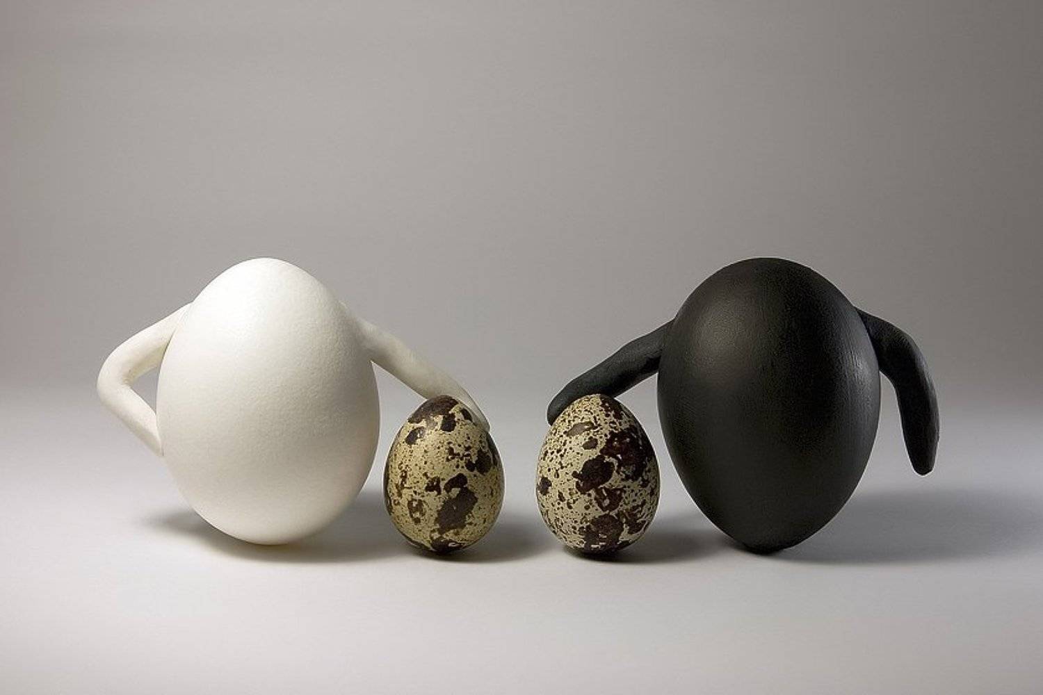 eggs, Yakimov V