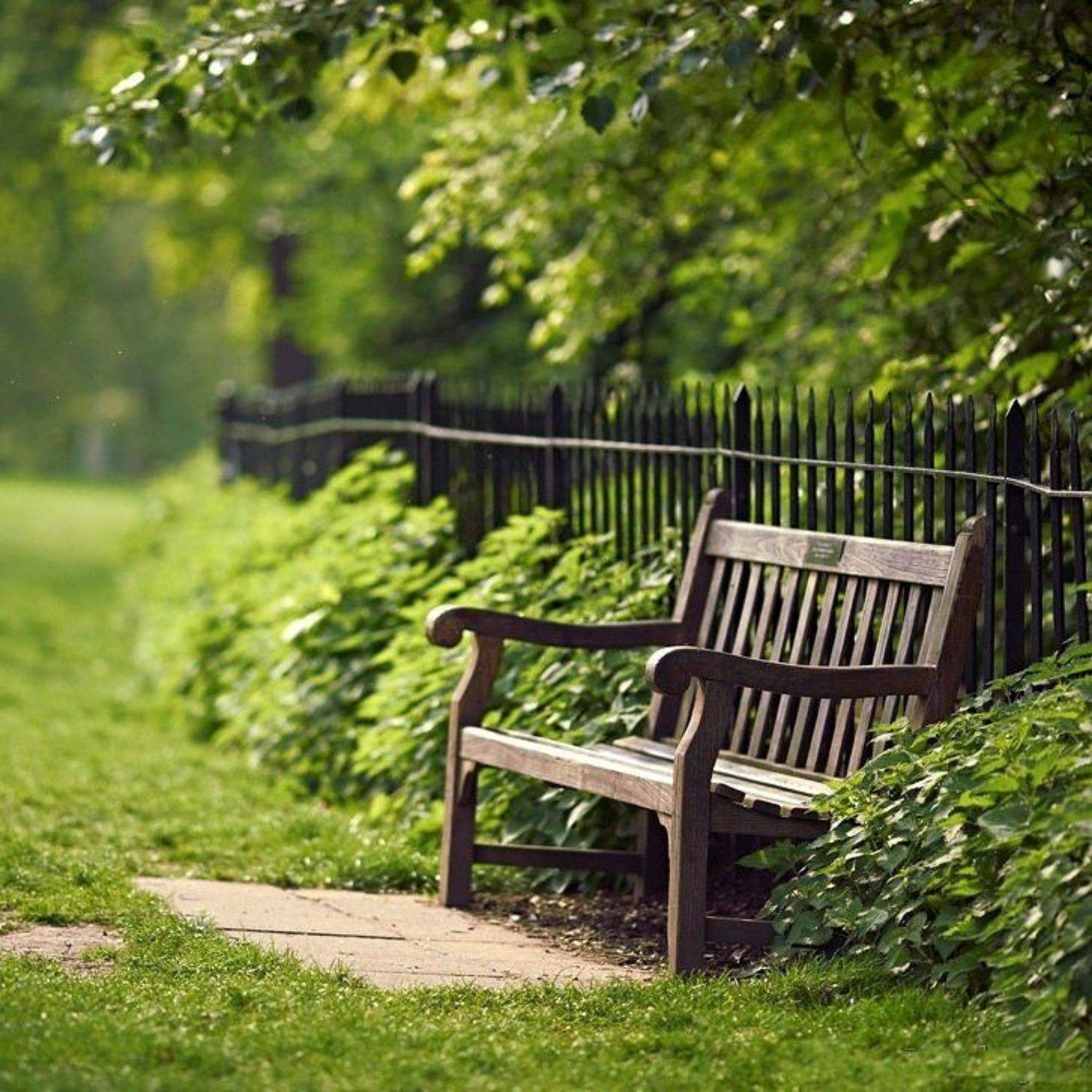 , Александр Виноградов