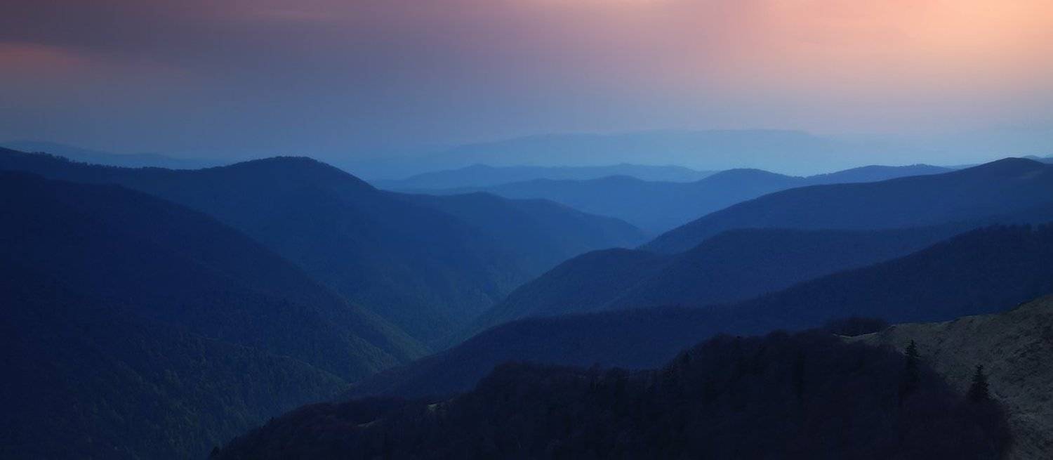 , Денис Кривой