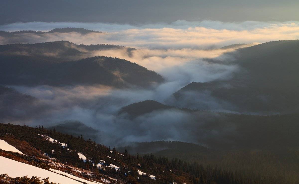 , Михаил Псарёв