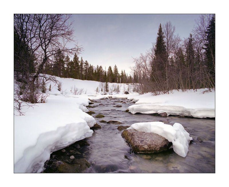 ~*~ фото превью