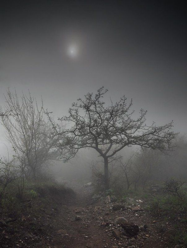 gothic mood фото превью