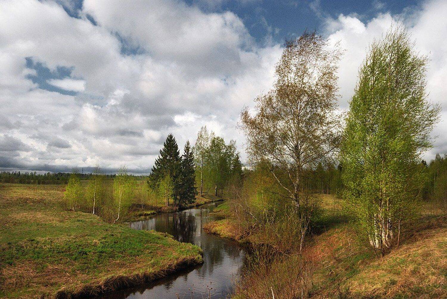 , Андрей Куликов