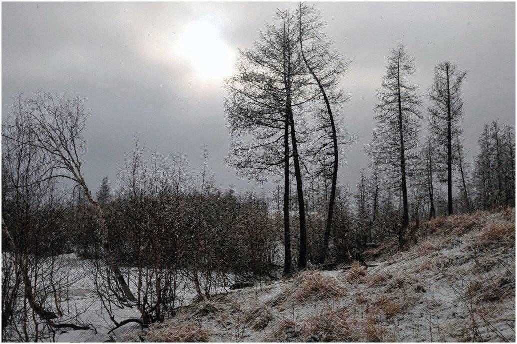 таймыр, Vladimir