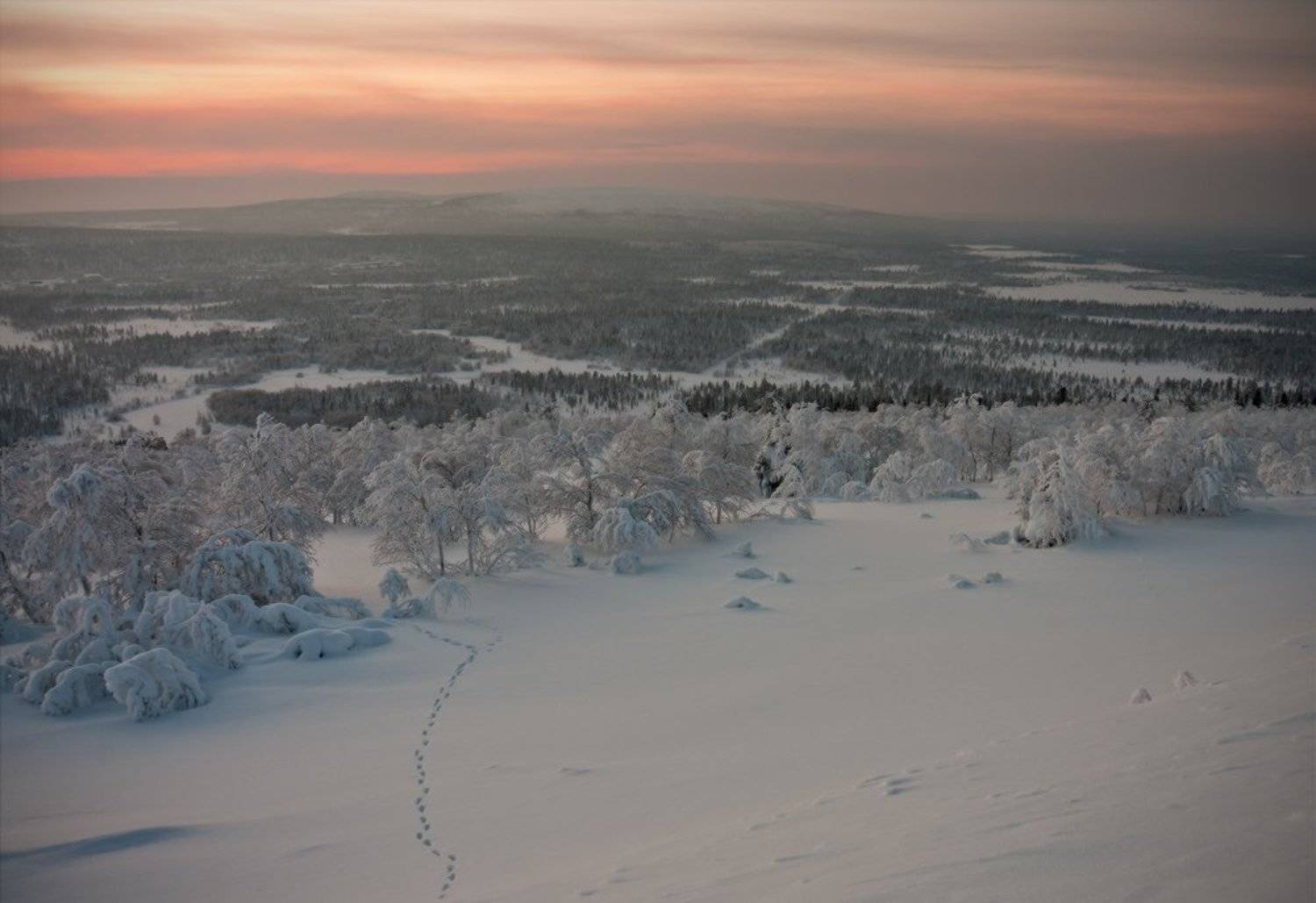 кольский, полуостров, зима, Nikolai (locus)