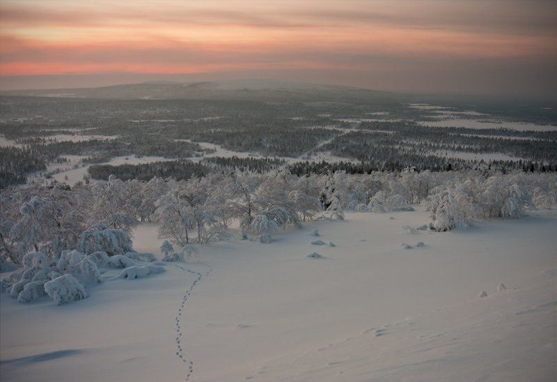 кольский, полуостров, зима ***** фото превью