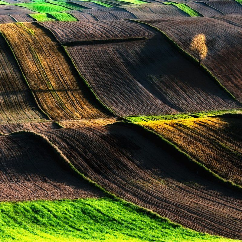 Landscapes_13 фото превью