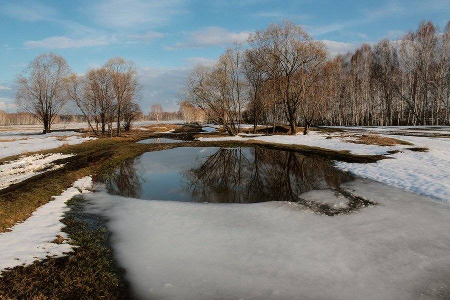 , Николай Морский