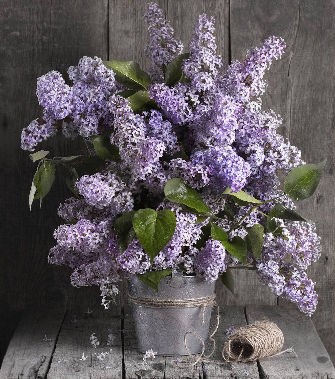 , Наталья Бочкарева