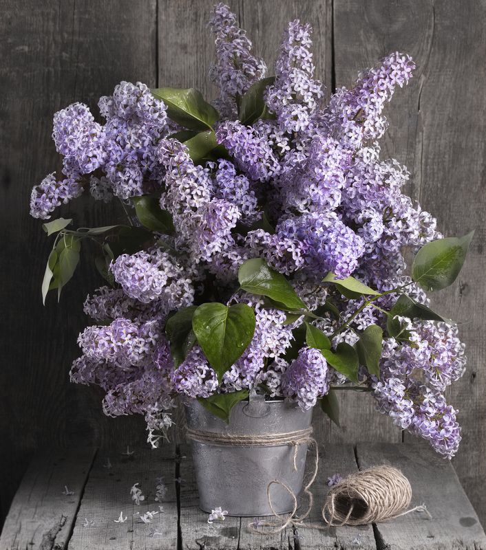 Аромат мая... фото превью