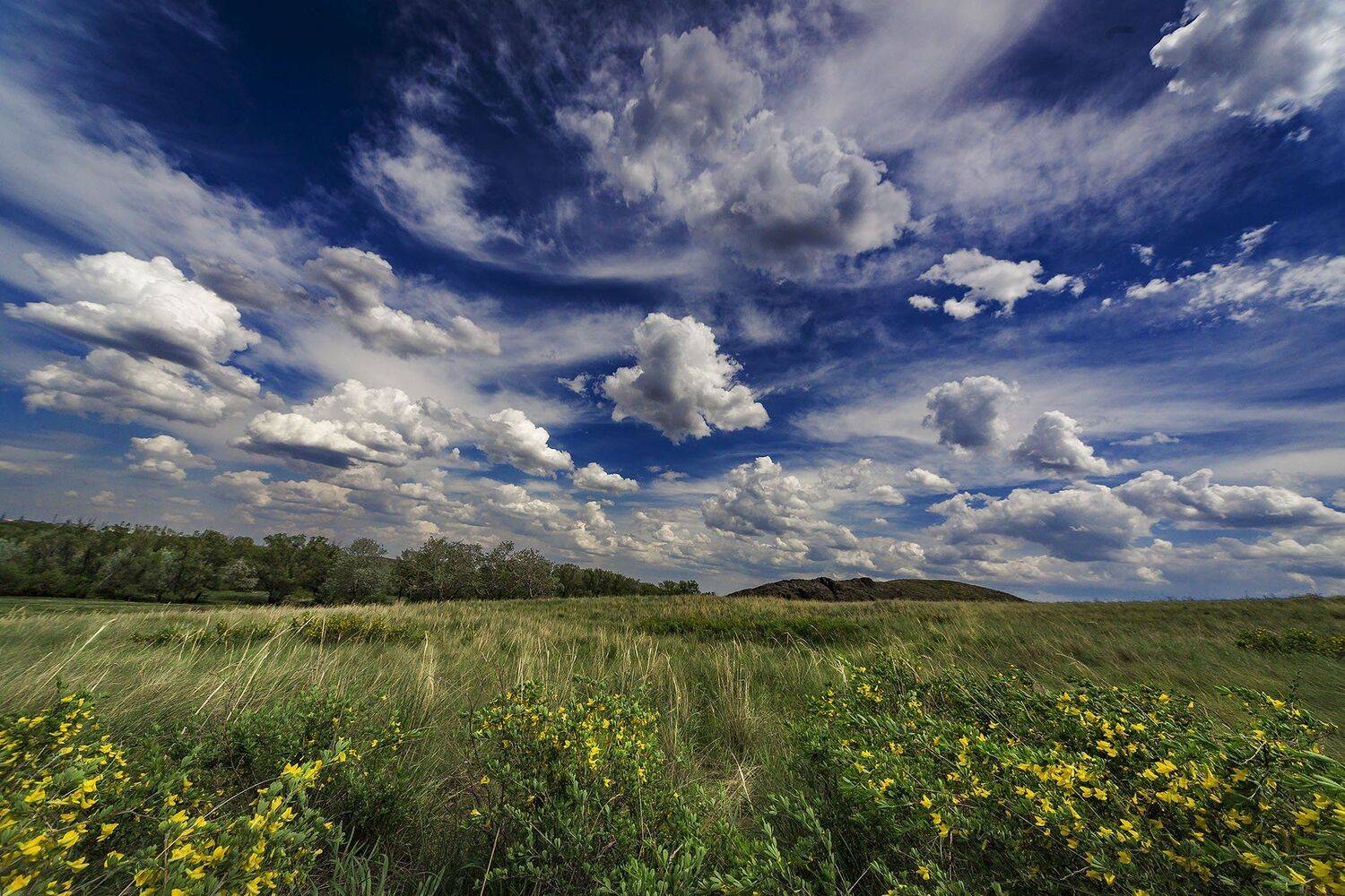 орск оренбургская обл. качурин новотроицк южный урал алтай алтайский край, Качурин Алексей