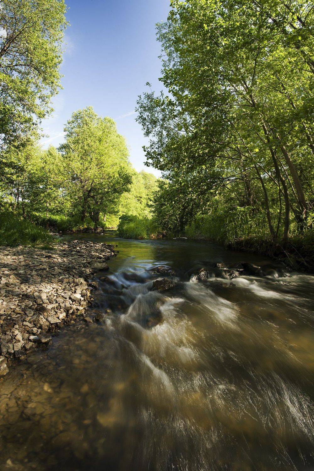 , Виталий Стрельцов