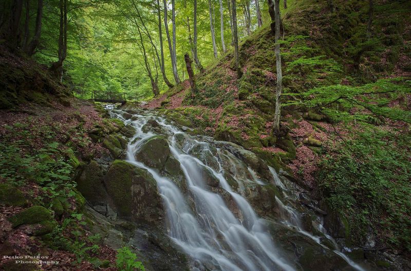 Тетевен фото превью