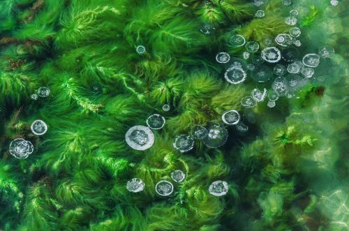 Хроники вешнего Геленджика.