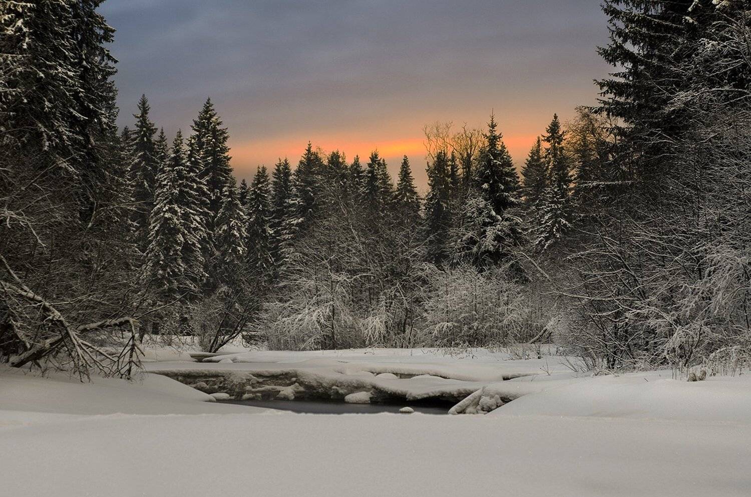 карелия, Виктор