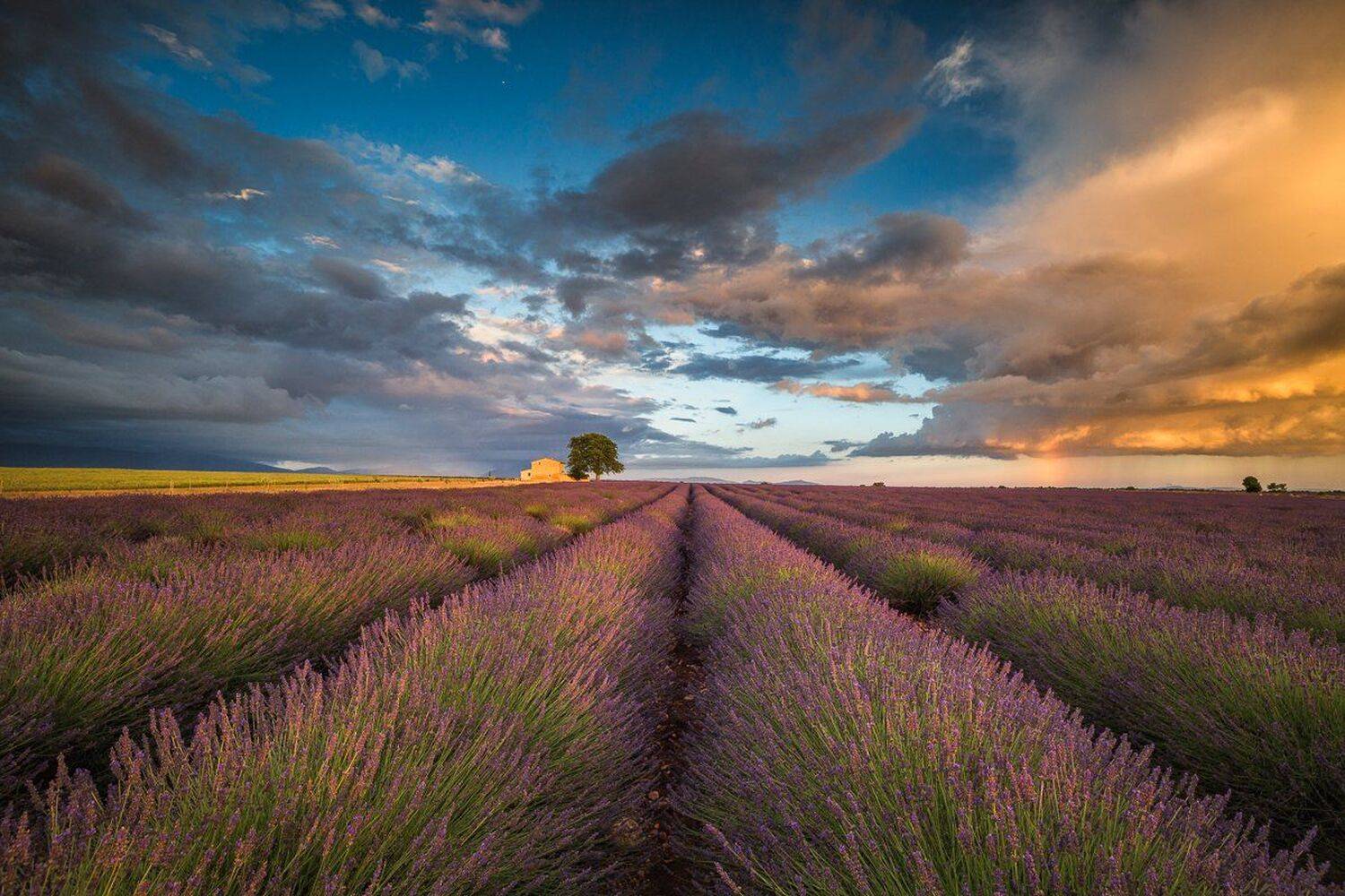 , Pawel Uchorczak