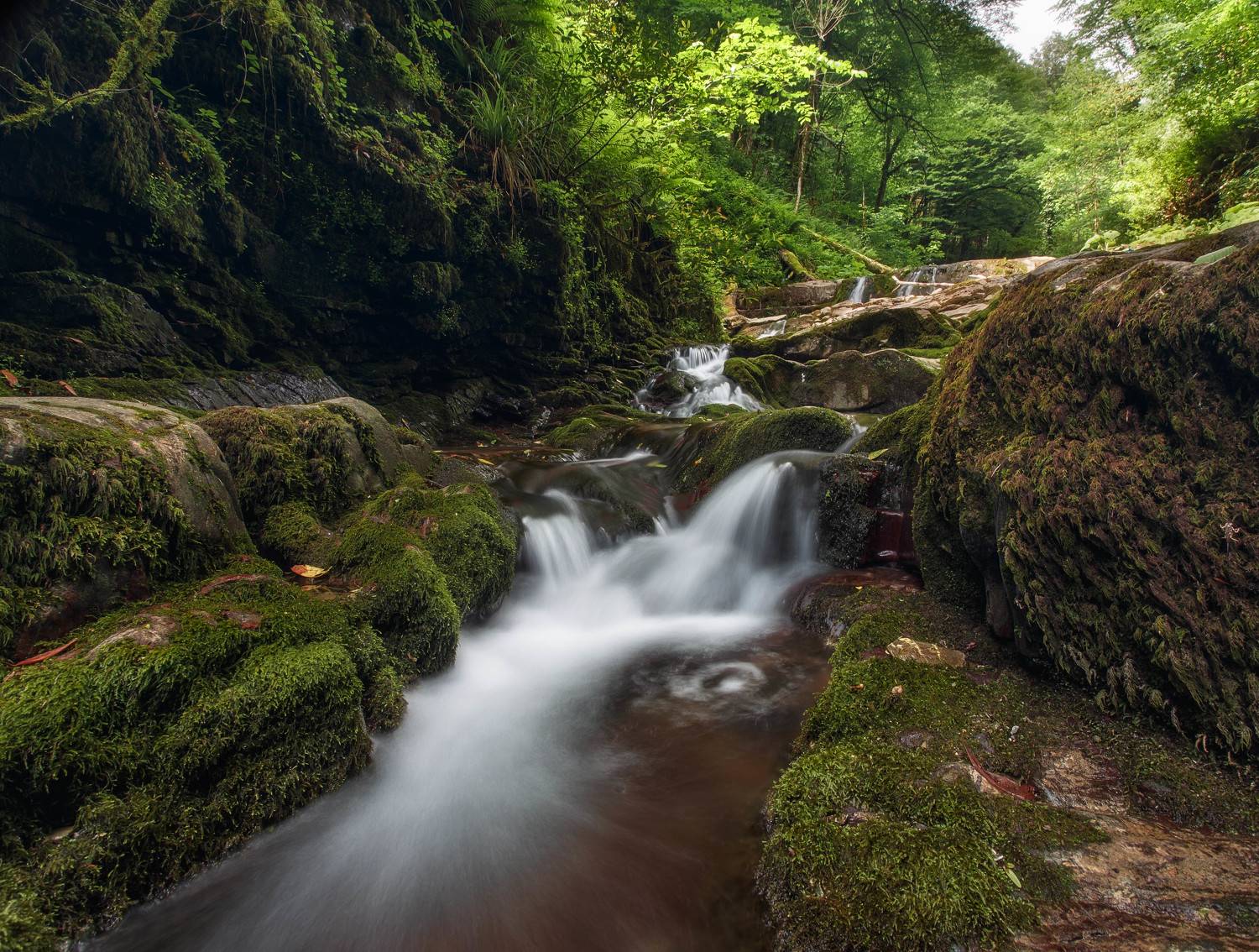 река, ручей, природа, лес, горы, горная река, путешествия, выходные, приключения, поход, вода, камни, Сергей Шабанов