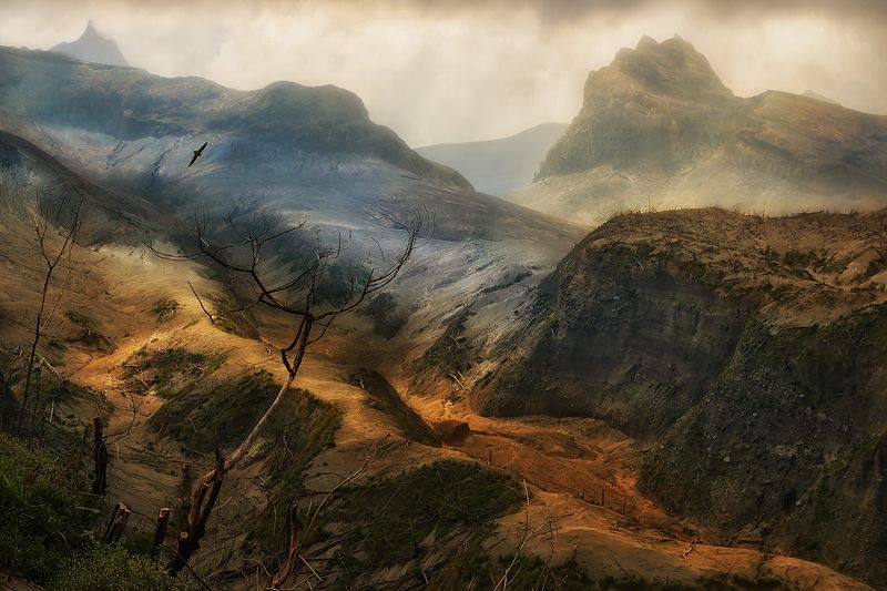 индонезия, ява, лава, кратер, вулкан, разруха, катлаван Жизнь после извержения фото превью