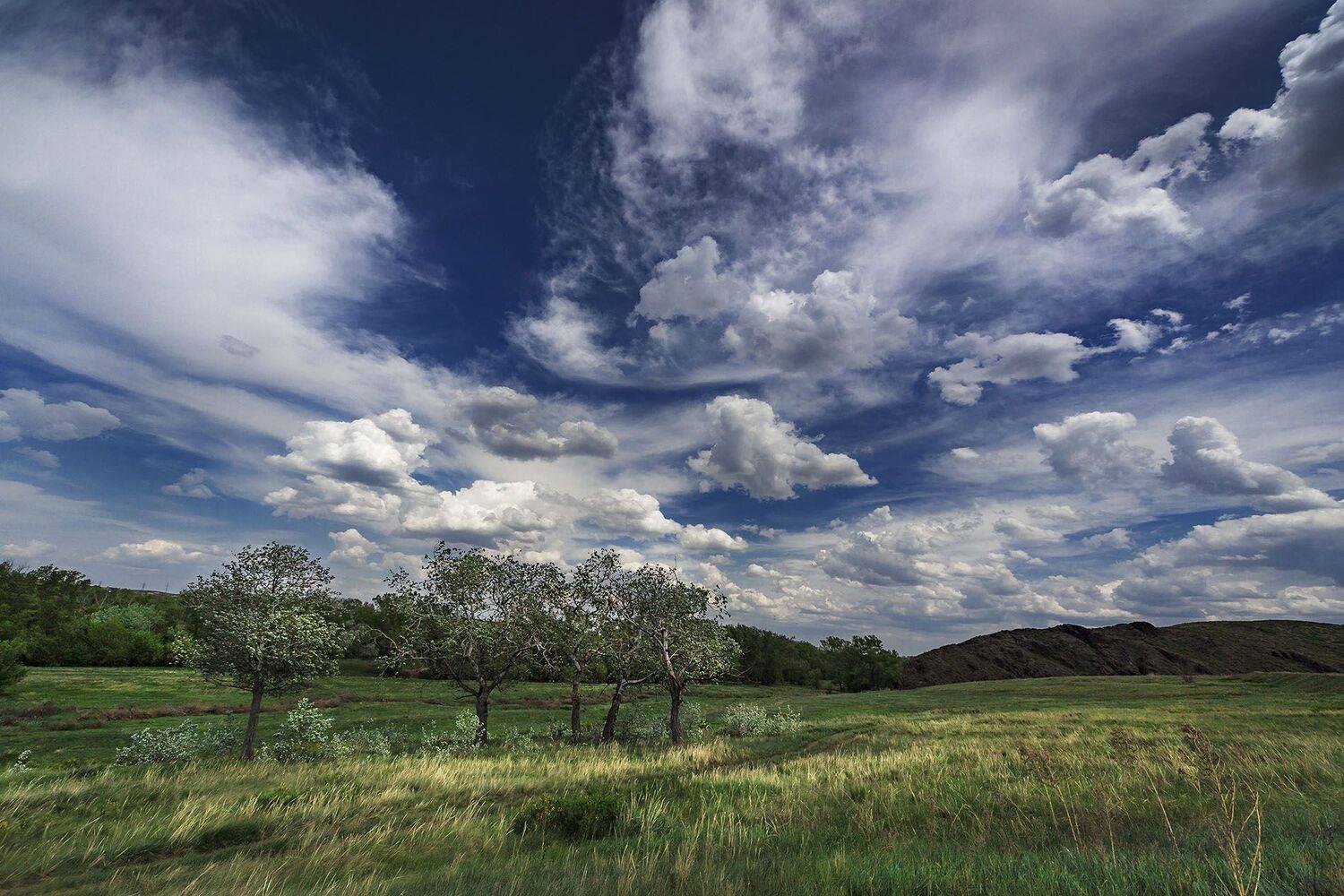 орск оренбургская обл. качурин новотроицк южный урал, Качурин Алексей