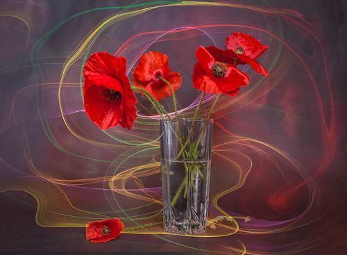 Песенка о маках