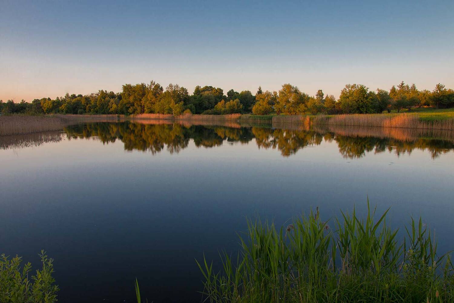 , Александр