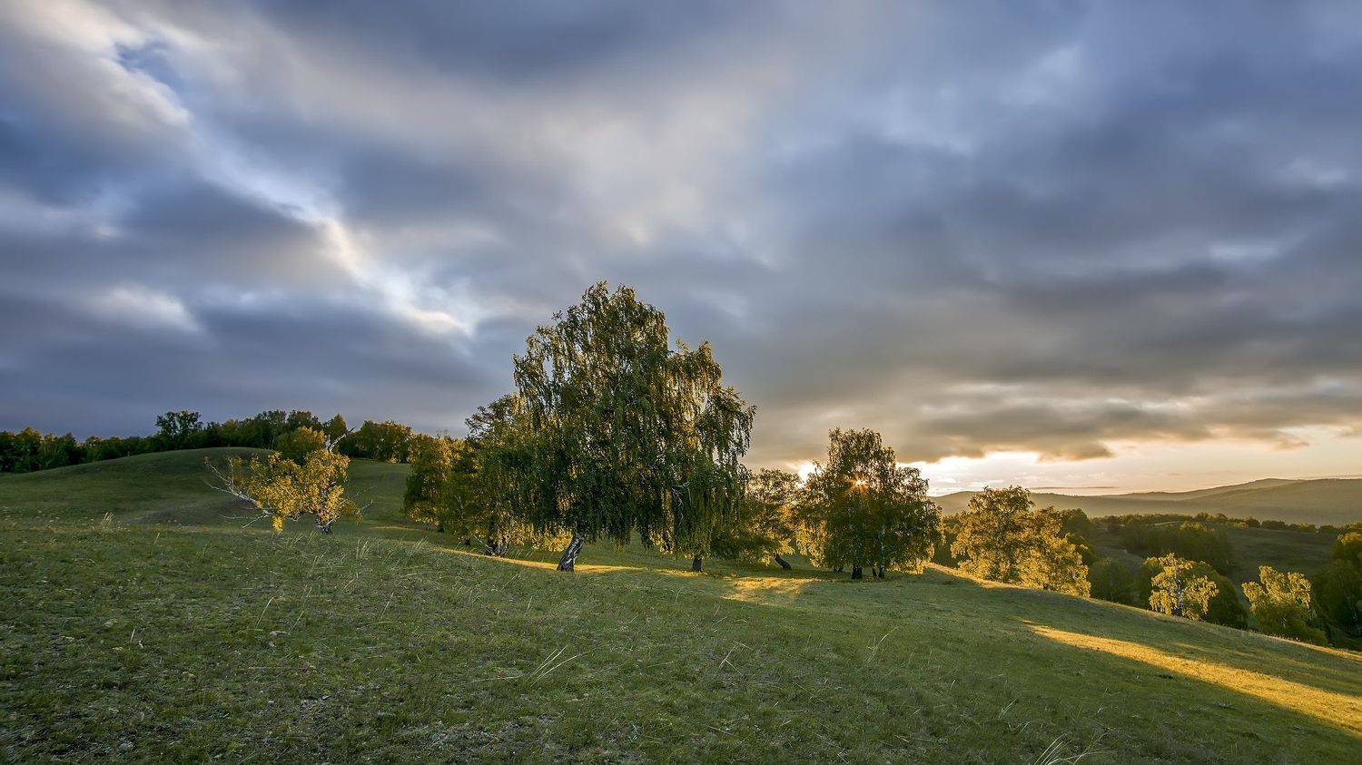утро, рассвет, восход, тучи, лучи, Леонид Максименко