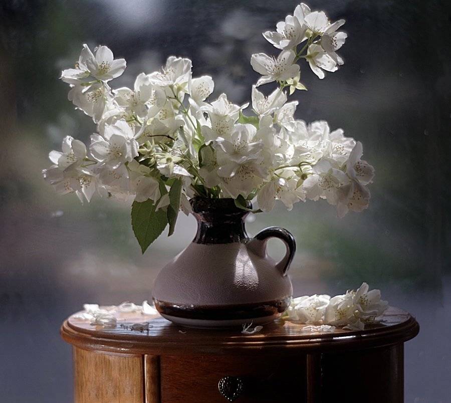 jaśminowiec , bukiet, biel, kwiaty , still life ,, Ela