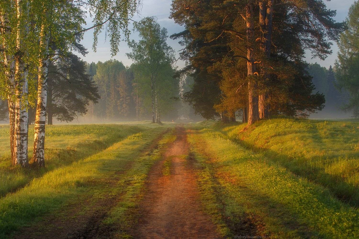 , Андрей Базанов