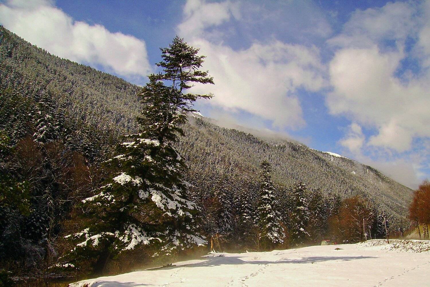 , Руслан Востриков