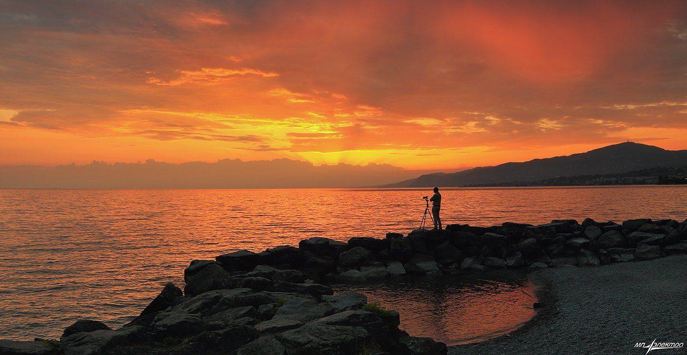 swiss, Матвеев Николай