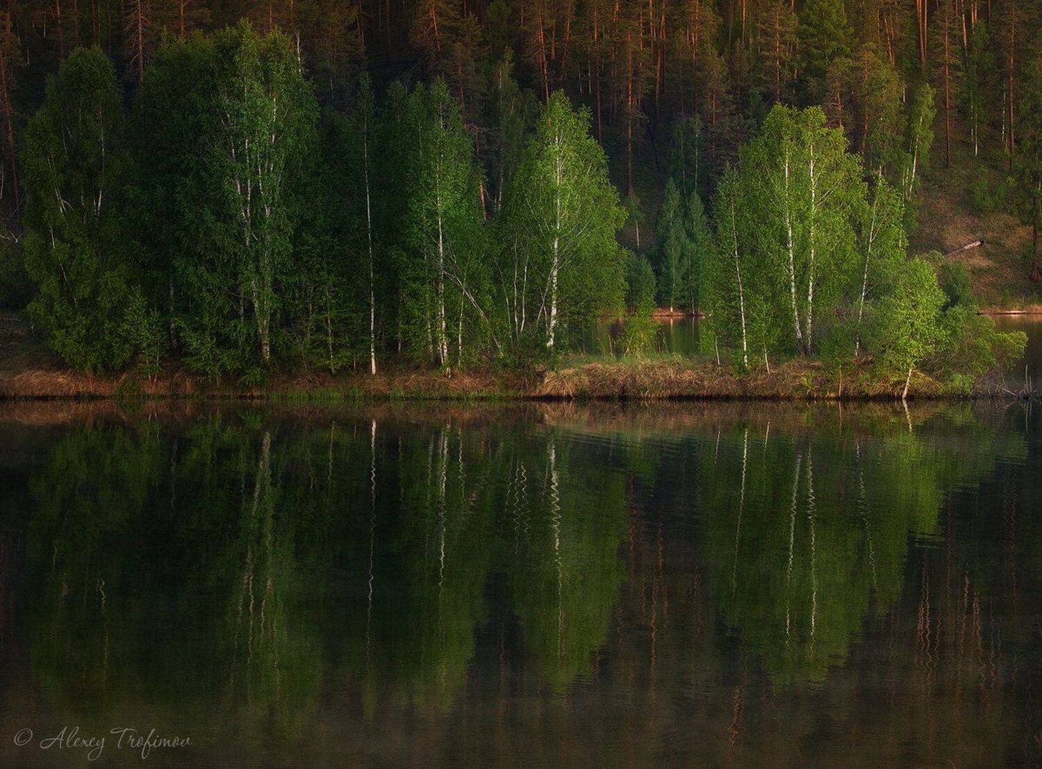 , Алексей Трофимов