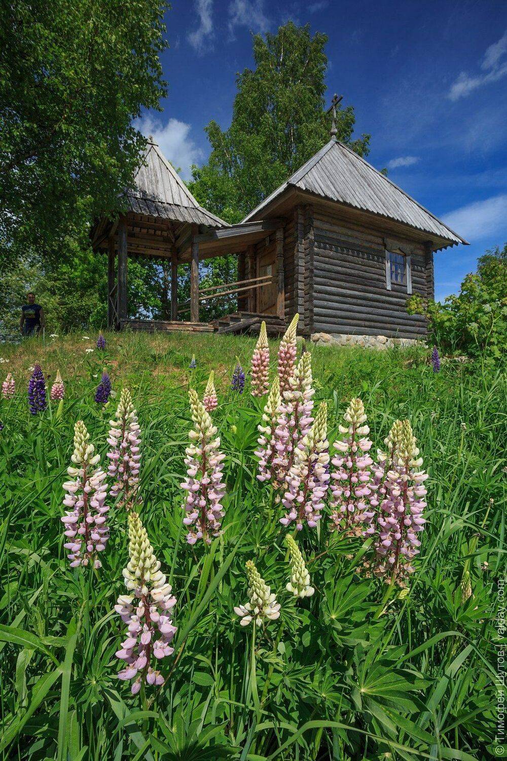 валдай, Тимофей Шутов