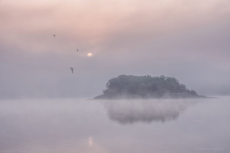 colors of the morning фото превью