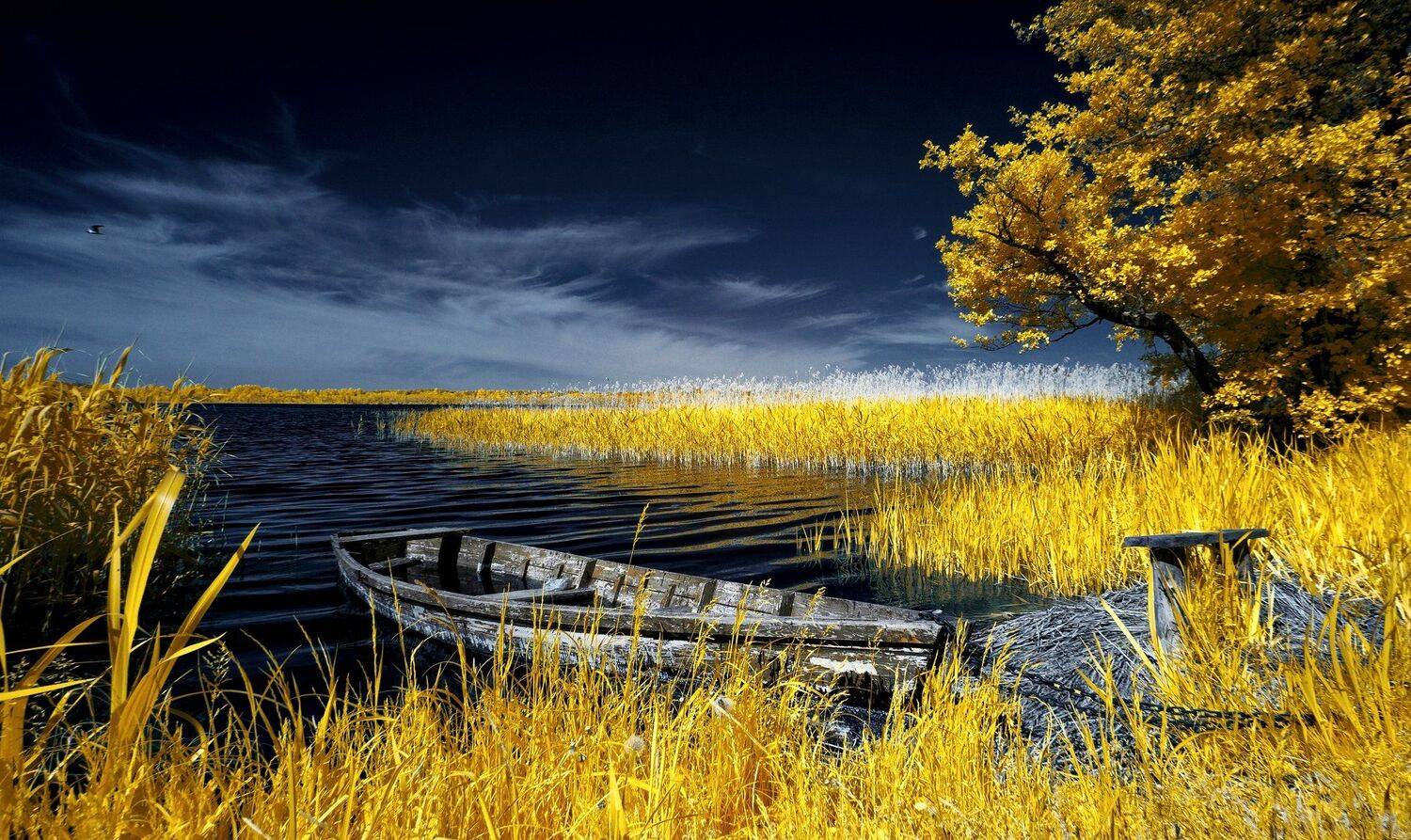 infrared,ик-фото,инфракрасное фото,инфракрасная фотография,пейзаж,природа,беларусь,лето,инфракрасная съемка, Sixten ( Сергей )