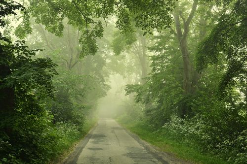 Misty Road 03