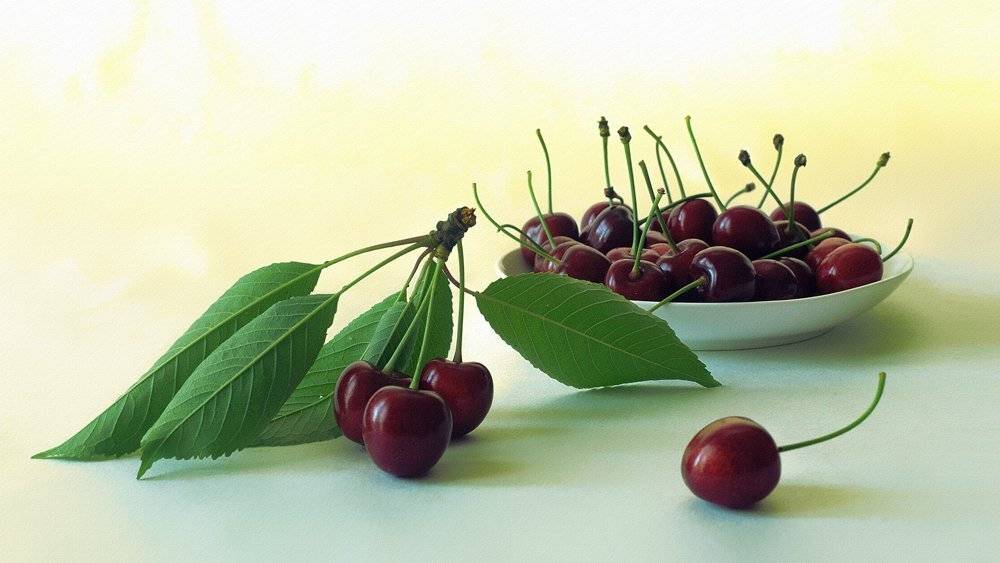 , Анжелика Королева