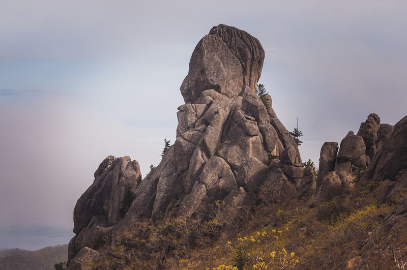 Каменные стражи фото превью