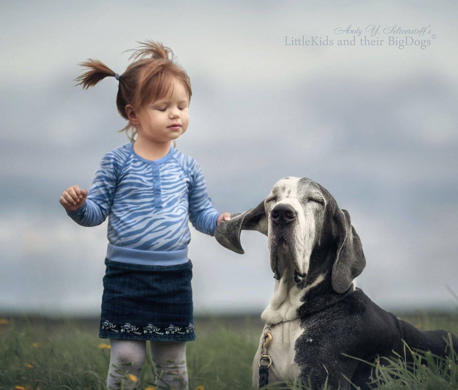 , Андрей Селиверстов