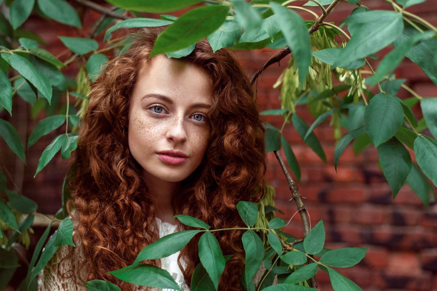 , Анастасия Добровольская