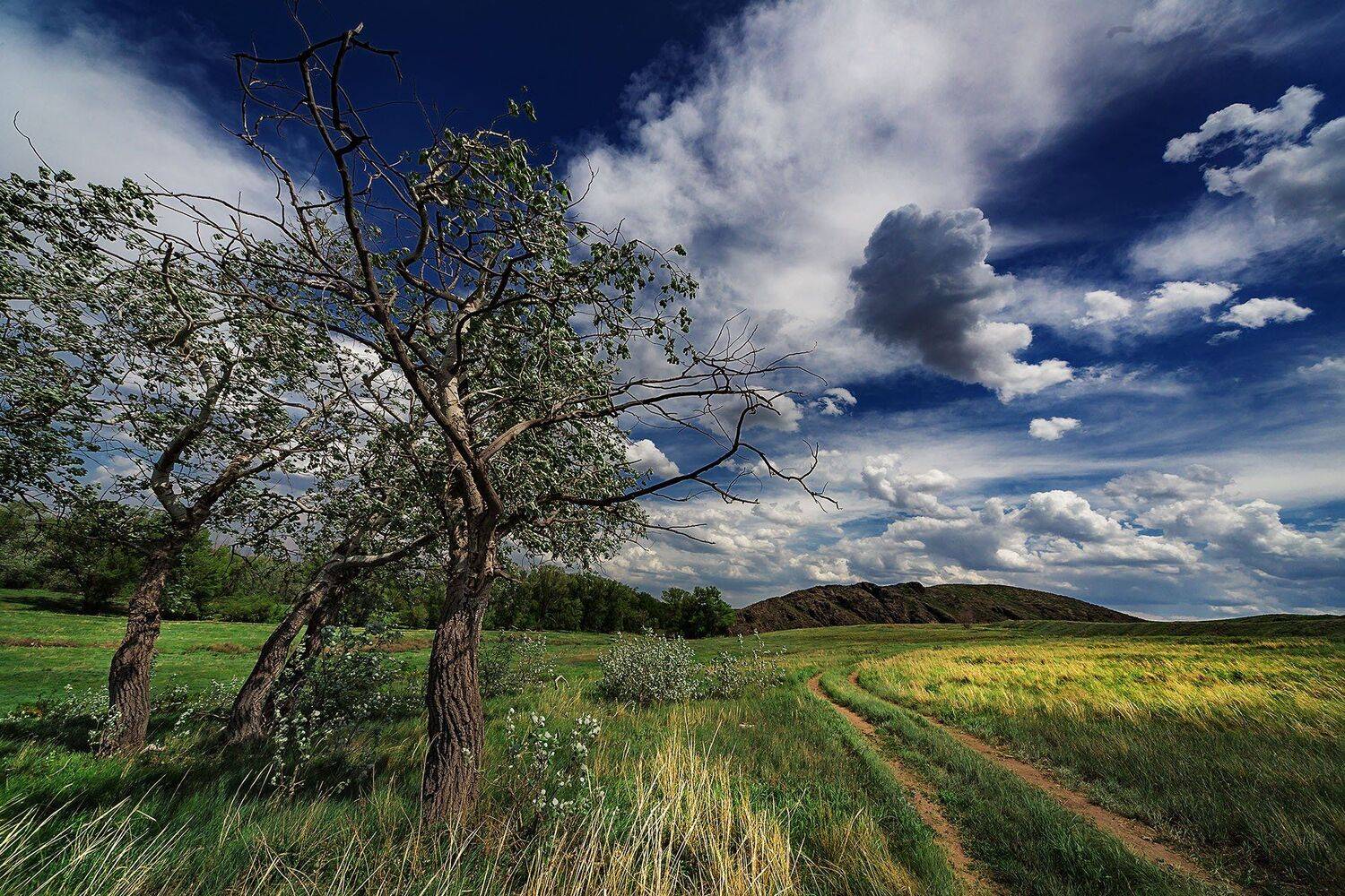 орск оренбургская обл. качурин новотроицк южный урал, Качурин Алексей