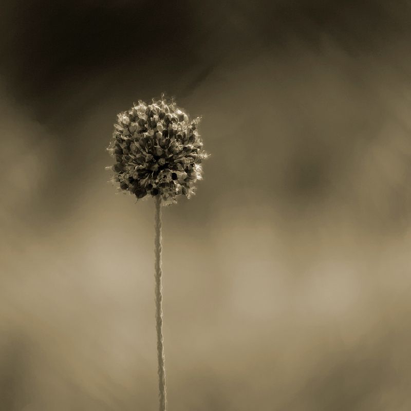 ... фото превью