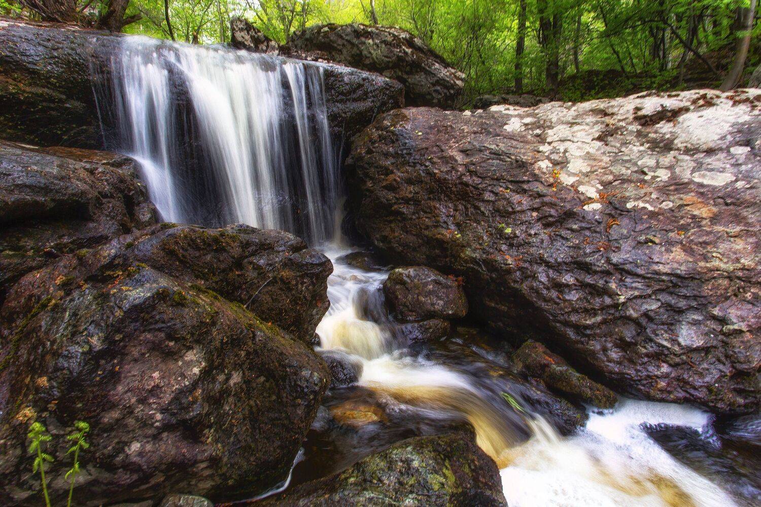 , Павел Сагайдак