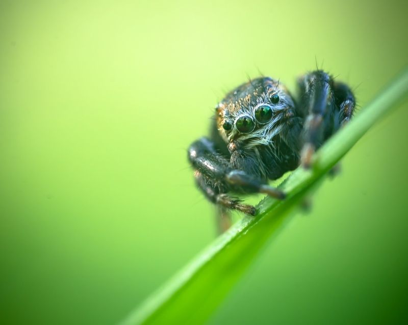 Эти глаза напротив... фото превью