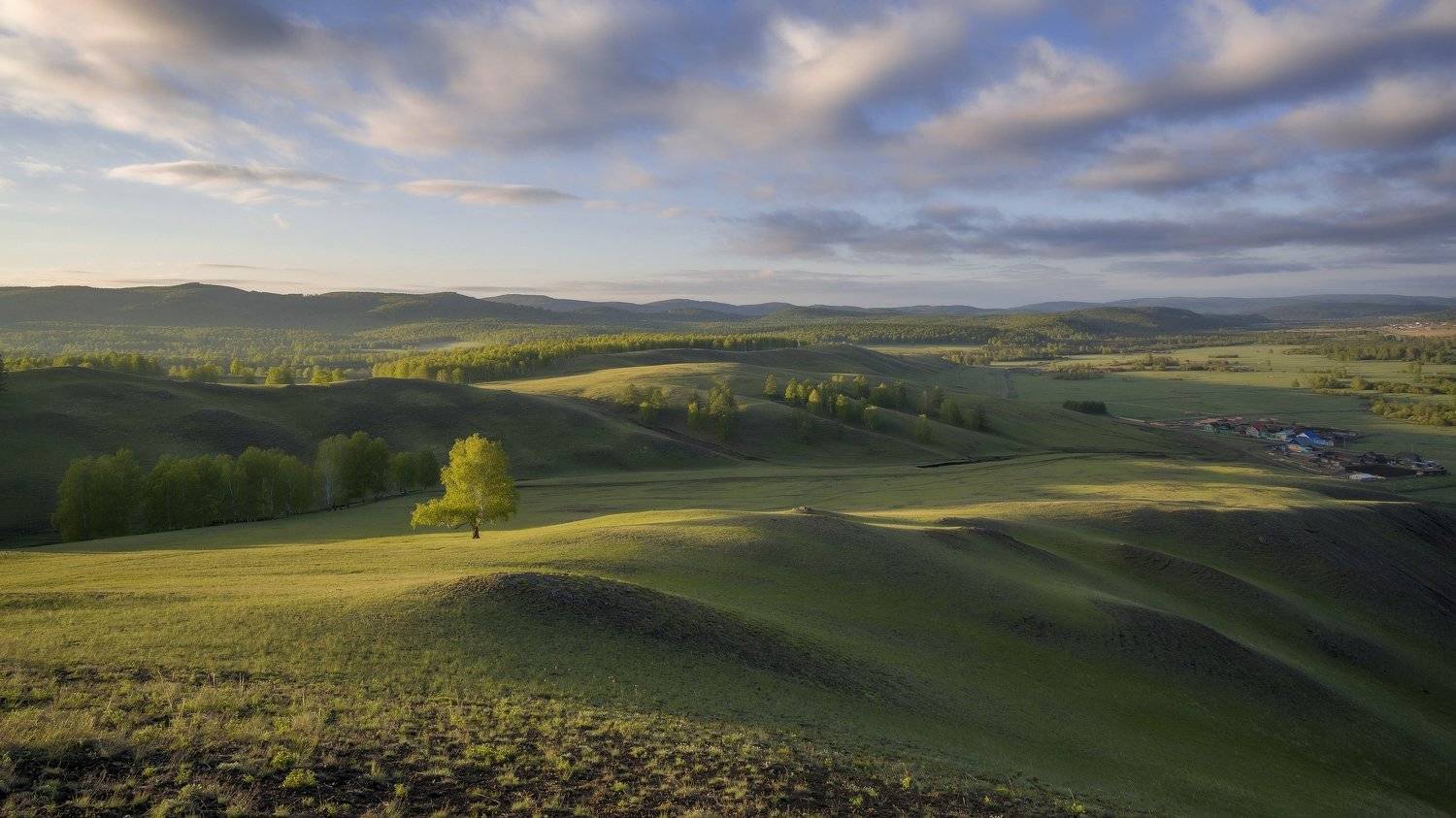 утро, рассвет, восход, туман, лучи, Леонид Максименко