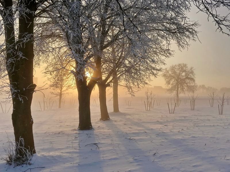 ... телефонофото ... фото превью